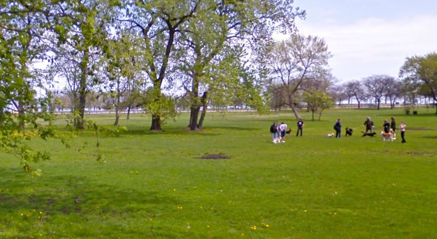 Lake Shore Dr & Barry Dog Park cover