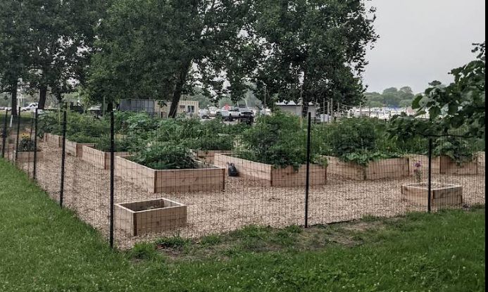 Diversey Harbor Community Garden cover