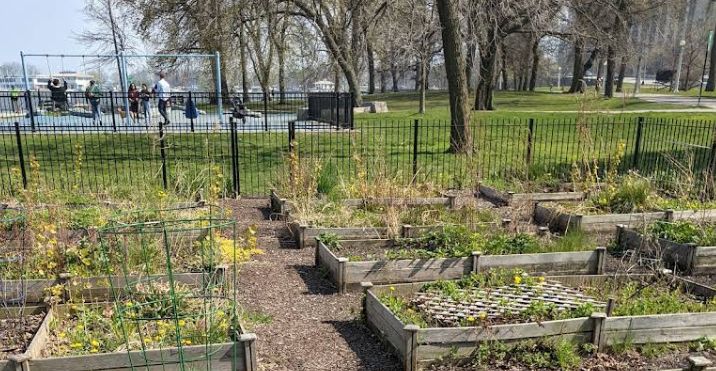 Roscoe Community Garden cover